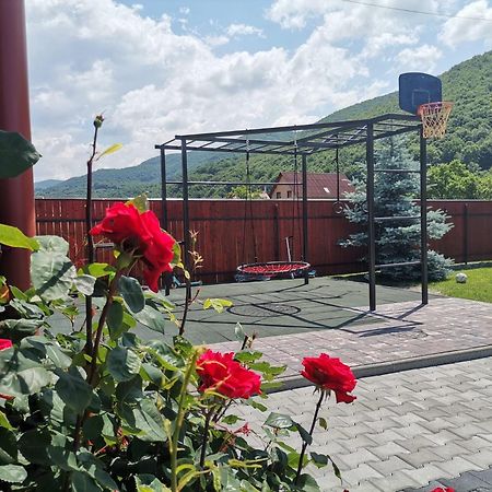 Dió vendégház Praid Exterior foto