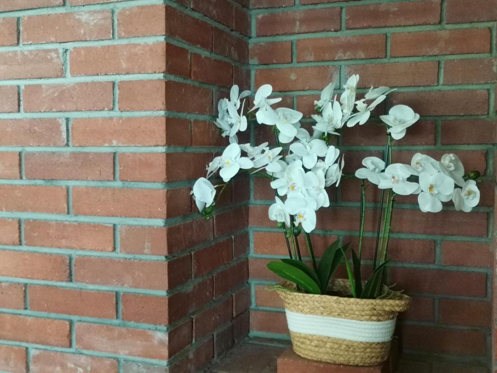 Dió vendégház Praid Exterior foto